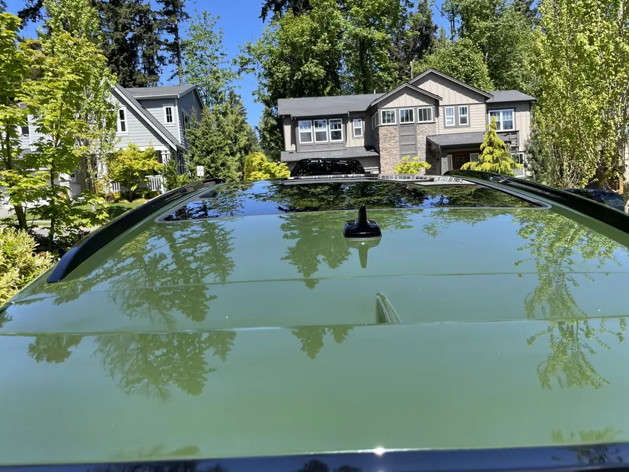 Trees reflecting in a Bentley roof after a wash